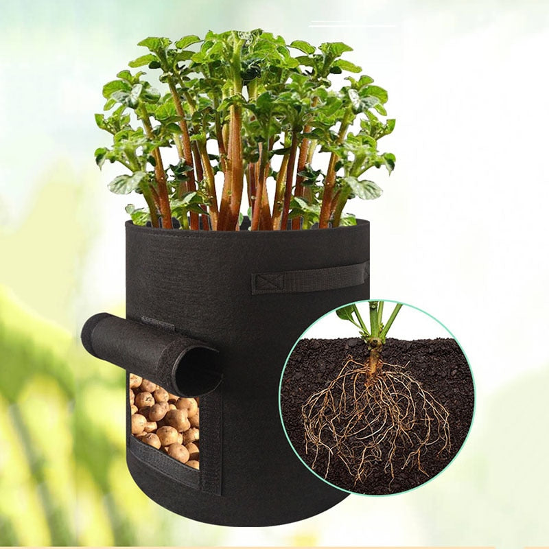 Potato Pot Plant Grow Bags Jardin  Planting Bag Home Garden Fruit  Fabric Plants Growing Moisturizing 4/7/10 Gallon